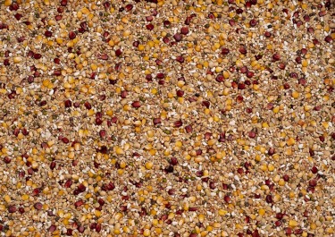 BEYERS ORIGINAL ENZYMIX ENERGY 20KG / LOTOWA