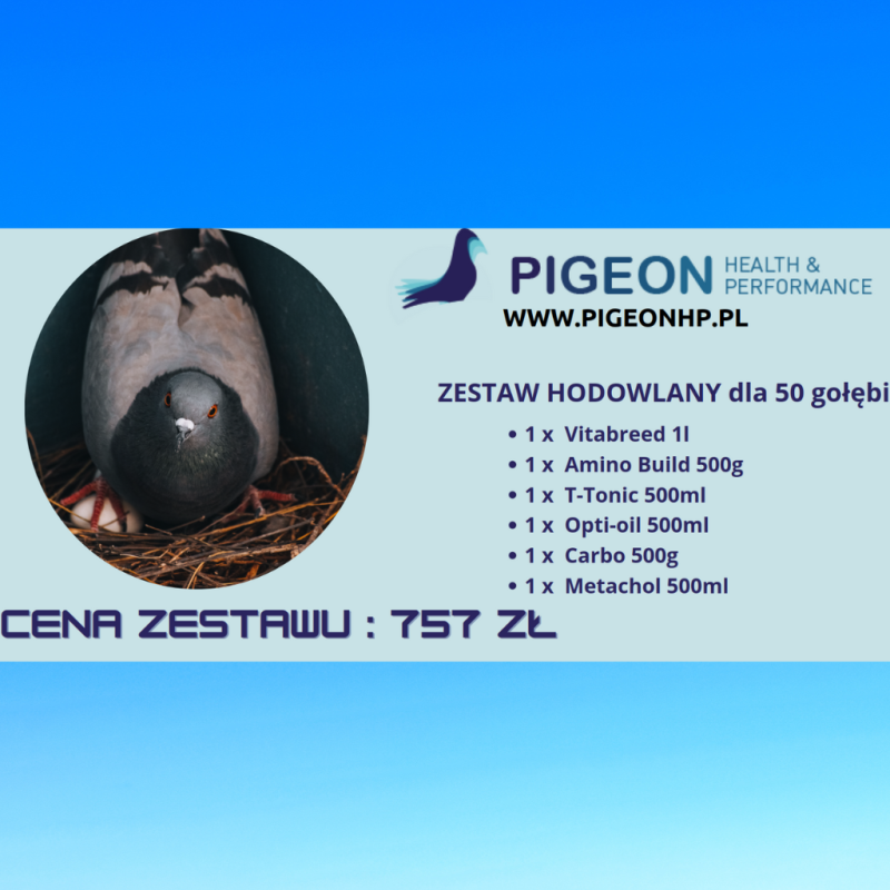 PHP ZESTAW LOTOWY  FOND 2 / FINAL FOND GRATIS