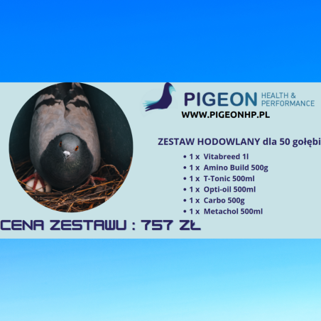 PHP ZESTAW LOTOWY  FOND 2 / FINAL FOND GRATIS