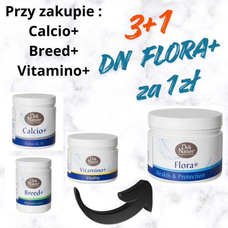 PAKIET DN WITAMINY  3+1  / FLORA BREED VITAMINO CALCIUM