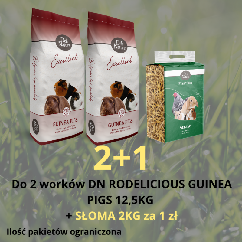 copy of PAKIET DN GRYZOŃ  3+1 12,5KG / ŚWINKA KRÓLIK GRYZOŃ ZRĘBKI