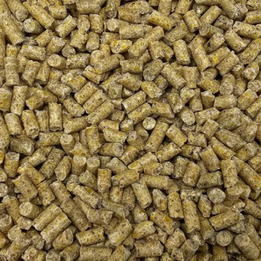 BEYERS KASPER P40 20KG / GRANULAT ODŻYWCZY PONAD 40 SKŁADNIKÓW