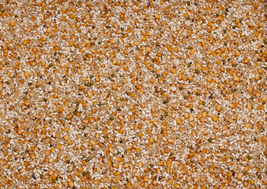 PROMO BEYERS PREMIUM VANDENABEELE 22KG / NISKOBIAŁKOWA