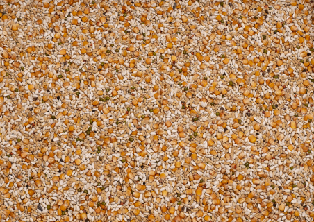 PROMO BEYERS PREMIUM VANDENABEELE 22KG / NISKOBIAŁKOWA