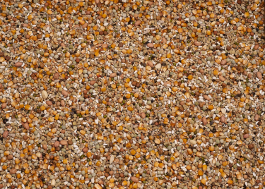 PROMO BEYERS PREMIUM KOOPMAN ALL-IN-ONE 20KG