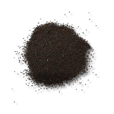 RZEPIK ZIARNO 20KG / RUBSEN