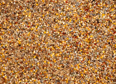 BEYERS OLYMPIA 53 BREEDING  MOULTING 20KG / PIERZENIOWA