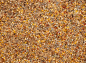 PROMO BEYERS OLYMPIA 53 BREEDING  MOULTING 20+2KG / HODOWLA I PIERZENIE
