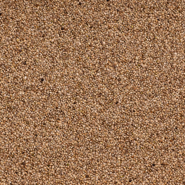 BEYERS KONOPIE 15KG / NASIONA