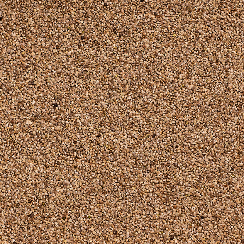 BEYERS KONOPIE 15KG / NASIONA