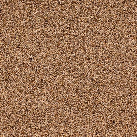 BEYERS KONOPIE 15KG / NASIONA