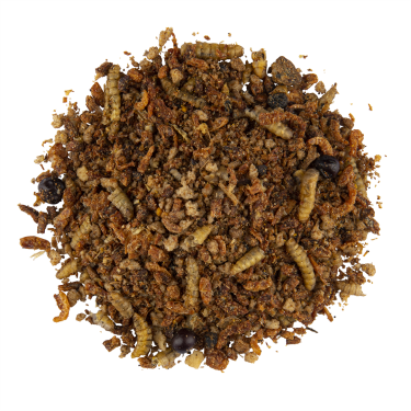 CéDé INSECT FOOD 600G (10) / POKARM Z SUSZONYMI OWADAMI