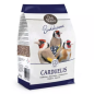DN BIRDELICIOUS CARDUELIS 750G(5) / SZCZYGIEŁ