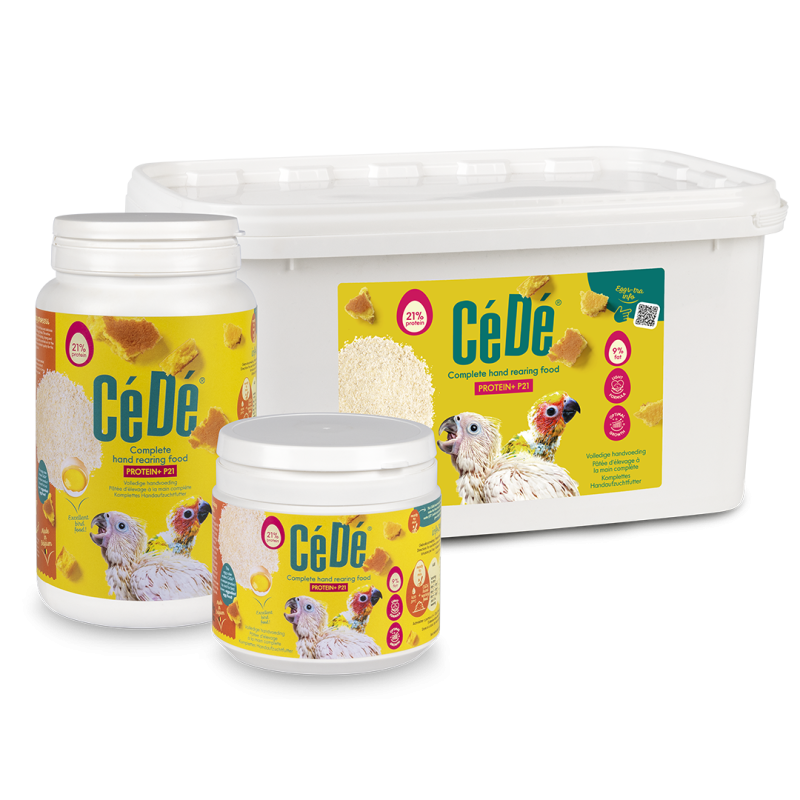 CéDé HAND REARING FOOD PROTEIN+ P21-F9 250G / POKARM DO RĘCZNEGO KARMIENIA