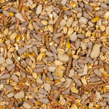 DN PROTEIN MIX 0,85KG (10)/PTAKI OGRODOWEMIESZANKAWYSOKOBIAŁKOWA