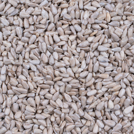 DN PEELED SUNFLOWERSEED 0,85KG(10) / ŁUSKANE ZIARNA SŁONECZNIKA