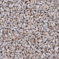 DN PEELED SUNFLOWERSEED 0,85KG(10) / ŁUSKANE ZIARNA SŁONECZNIKA