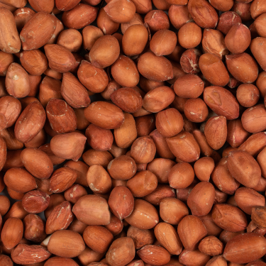 DN PEELED PEANUTS 0,85KG(10) / ŁUSKANE ORZECHY ZIEMNE