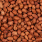DN PEELED PEANUTS 0,85KG(10) / ŁUSKANE ORZECHY ZIEMNE DN PEELED PEANUTS 0,85KG(10) / ŁUSKANE ORZECHY ZIEMNE