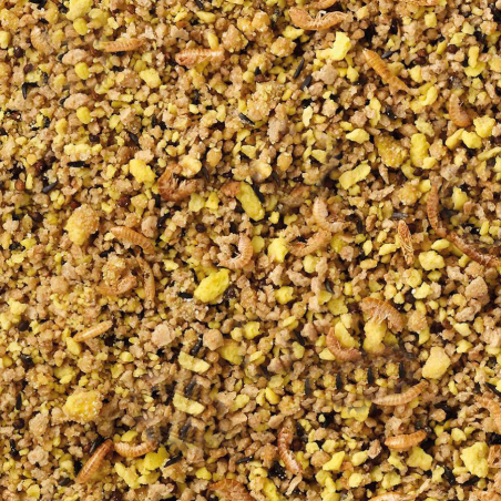 DN EGGFOOD MOIST FOREIGN FINCHES 1KG(4) / POKARM JAJECZNY DLA EGZOTYKI WILGOTNY