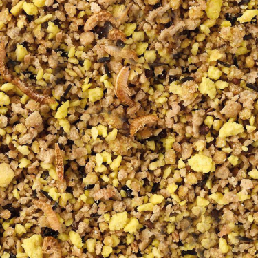 DN EGGFOOD PARAKEETS 1KG(4) / POKARM JAJECZNY DLA MAŁYCH PAPUG FALISTYCH