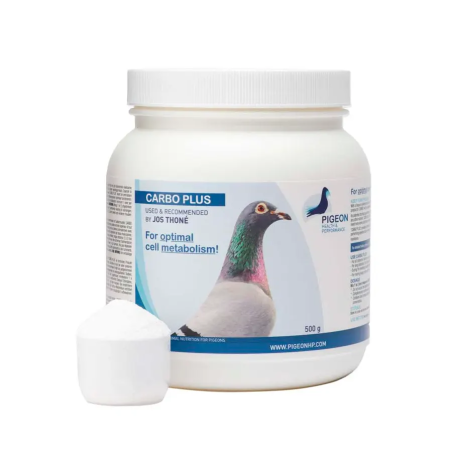 PHP CARBO PLUS 500G