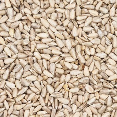 BEYERS PEELLED SUNFLOWER SEED 25KG / SŁONECZNIK WYŁUSKANY