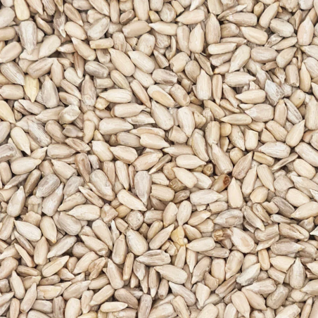 BEYERS PEELLED SUNFLOWER SEED 25KG / SŁONECZNIK WYŁUSKANY
