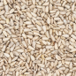BEYERS PEELLED SUNFLOWER SEED 25KG / SŁONECZNIK WYŁUSKANY BEYERS PEELLED SUNFLOWER SEED 25KG / SŁONECZNIK WYŁUSKANY