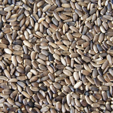 THISTEL SEED MARIEN 25KG / NASIONA OSTROPESTU