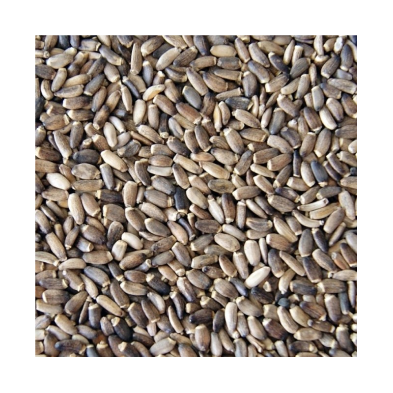 THISTEL SEED MARIEN 25KG / NASIONA OSTROPESTU