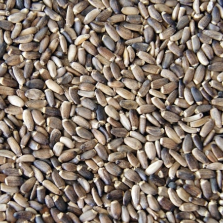 THISTEL SEED MARIEN 25KG / NASIONA OSTROPESTU
