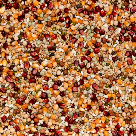 PROMO BEYERS PREMIUM JELLE JELLEMA 20KG