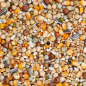 BEYERS ENZYMIX 7/50 MS MOULTING METHIONINE 20KG / PIERZENIOWA Z METH.