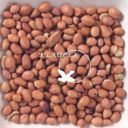 DN PREMIUM PEELED PEANUTS 1KG(10) / ŁUSKANE ORZESZKI ZIEMNE