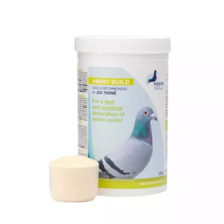 PHP AMINO BUILD 250G
