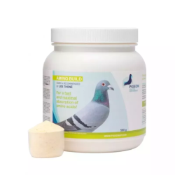 PHP AMINO BUILD 500G