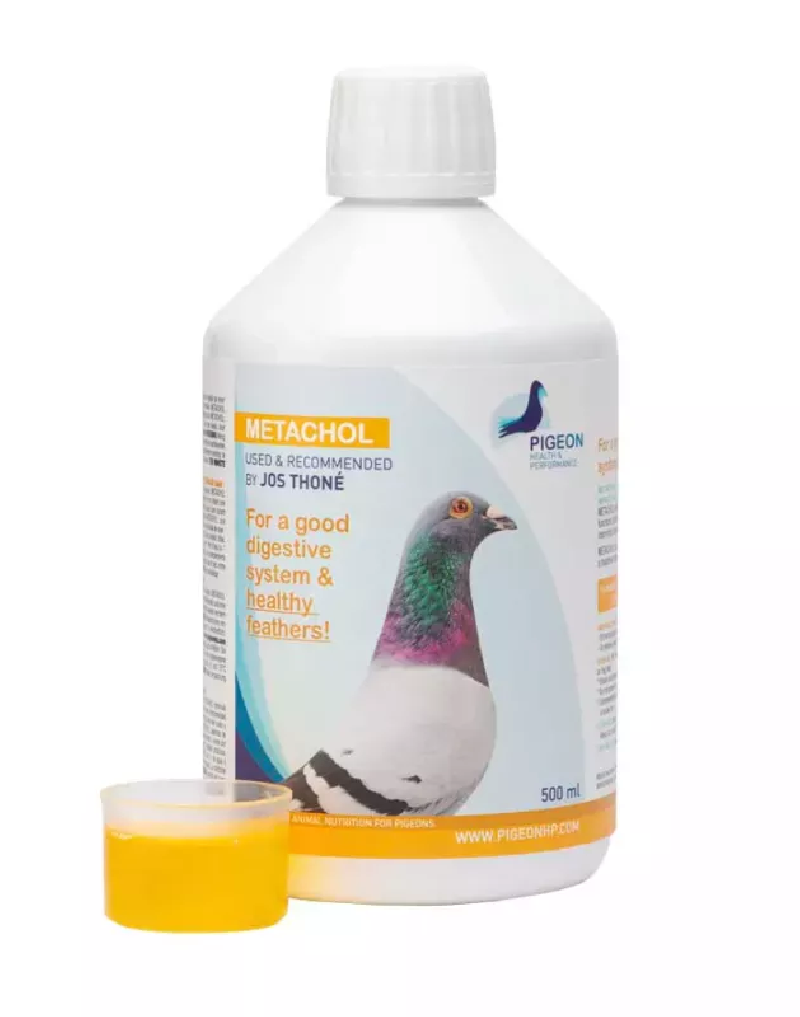 PHP METACHOL 250ML PHP METACHOL 250ML