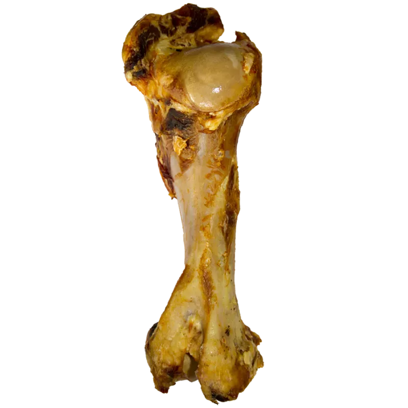VOSKES BEEF BONE XL 1SZT.(10) - KOŚĆ WOŁOWA XL
