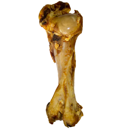 VOSKES BEEF BONE XL 1SZT.(10) - KOŚĆ WOŁOWA XL