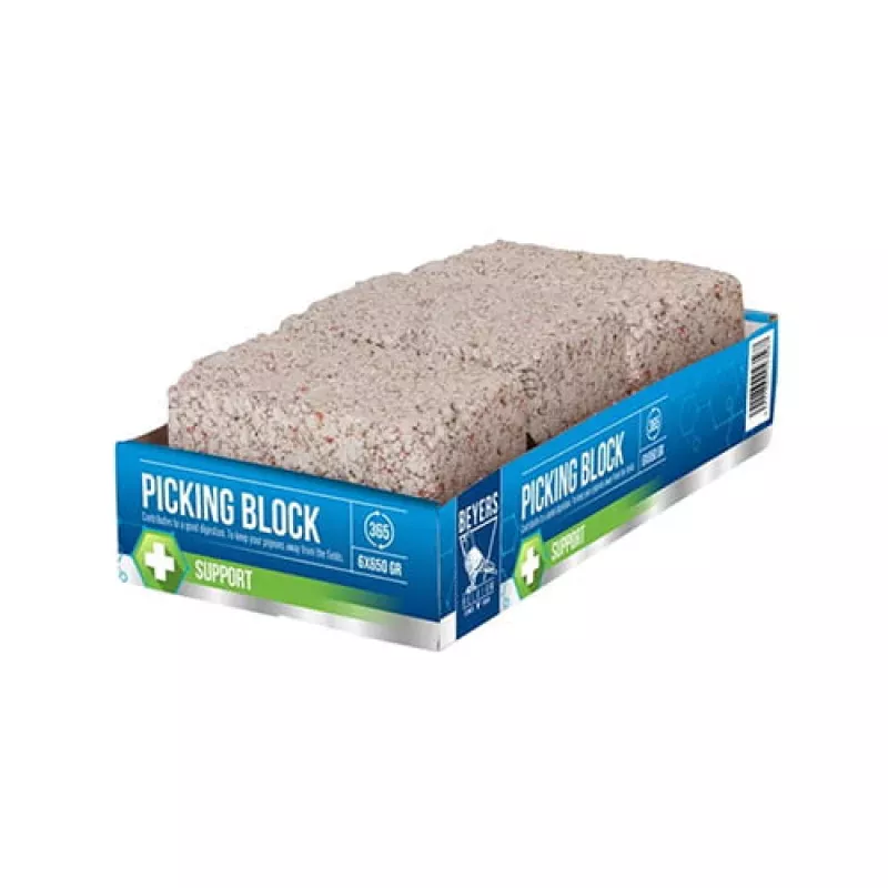 BEYERS PICKING BLOCK 650G(24) / KOSTKA DO DZIOBANIA