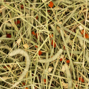 DN RODELICIOUS TIMOTHY HAY CARROT  PARSNIP 600G (6) / SIANKO TYMOTKA Z MARCHEWKĄ I PASTERNAKIEM 600G