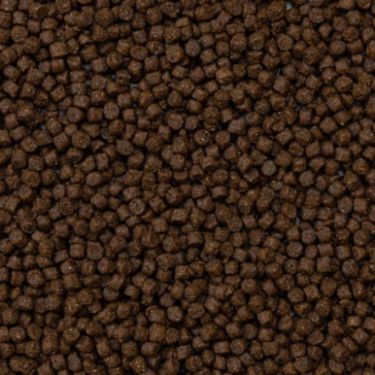 DN RODELICIOUS FERRETS 2,5KG(4) / MIESZANKA DLA FRETEK