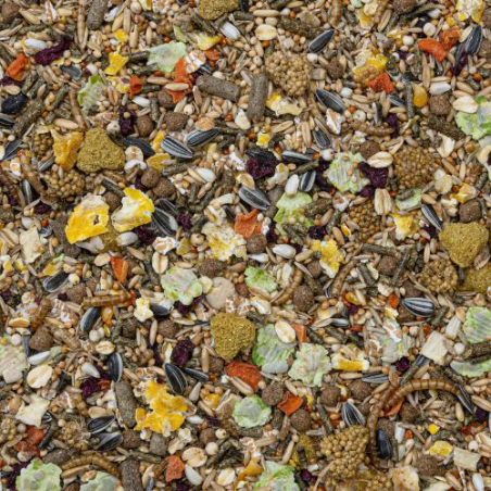 DN RODELICIOUS RATS 2,5KG(4) / MIESZANKA DLA SZCZURÓW Z OWOCAMI I WARZYWAMI