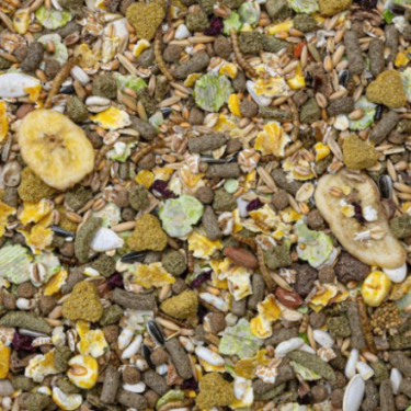 DN RODELICIOUS HAMSTERS 750G(5) / MIESZANKA DLA CHOMIKÓW