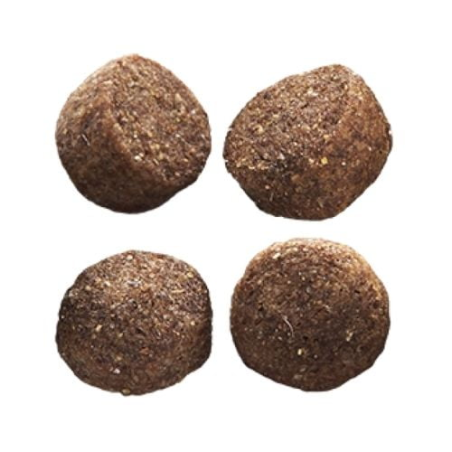 EP MEDIUM ADULT LAMB  RICE 12KG / ŚREDNIE RASY DOROSŁY PIES JAGNIĘCINA