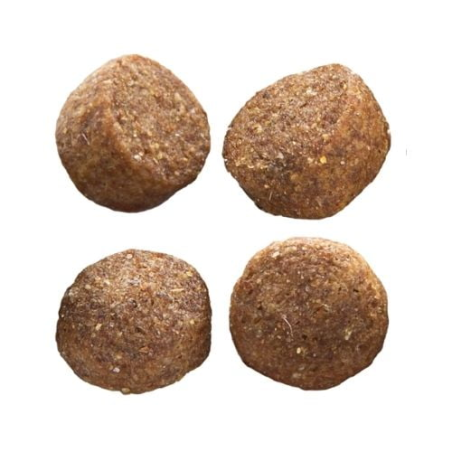 EP MEDIUM ADULT CHICKEN  RICE 12KG / ŚREDNIE RASY DOROSŁY PIES KURCZAK