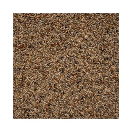 DN 74 - DANIEL LUTOLF BUDGIES SUPERCHAMP EXCLUSIVE 20KG / PAPUGI FALISTE EXCLUSIVE