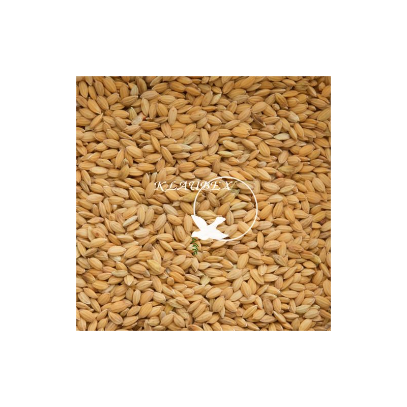 BEYERS RYŻ PADDY 20KG