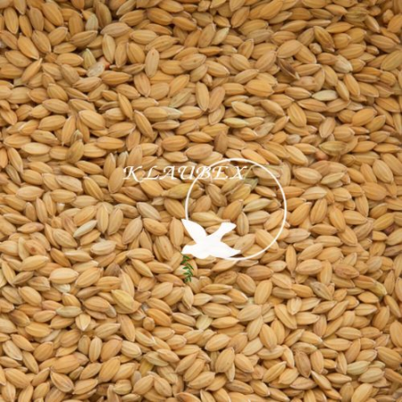 BEYERS RYŻ PADDY 20KG